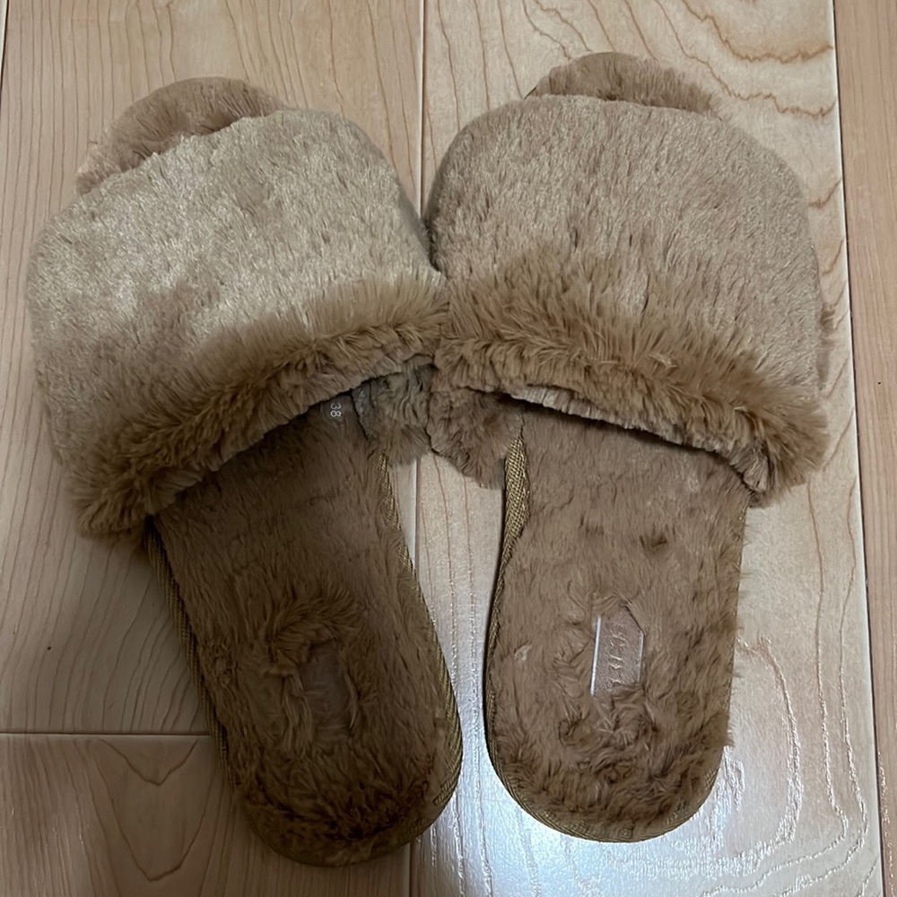 Skims slides!